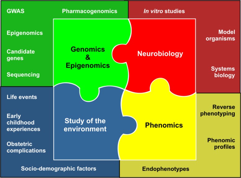 Network of basic and clinical research strategies